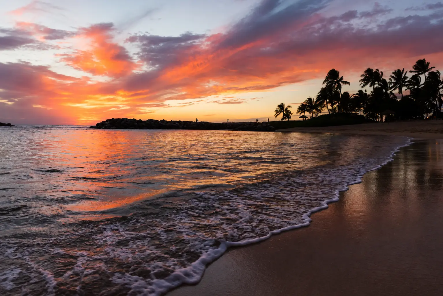 Scenic Gold Coast shoreline with palm trees and a vibrant pink sunset, representing the luxury coastal aesthetic of the Sunny Link brand.